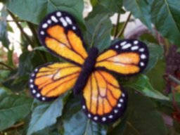 mariposa-naranja-producto-1506619207.jpg